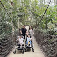 Potret Momo Geisha Liburan ke Taman Safari Bareng Keluarga, Ajak Juga Sang Ibu yang Duduk di Kursi Roda