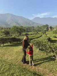 Potret Raisa Liburan Bareng Anak & Sahabat, Bermalam di Pegunungan