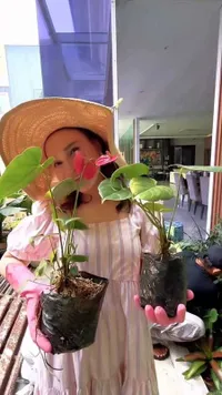 7 Potret Rossa Berkebun di Rumah Mumpung Libur: Bagus Gak Taman Aku?
