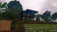 Potret Rumah Anjasmara di Pedesaan yang Tak Ditempati Bertahun-Tahun, Dikelilingi Perkebunan