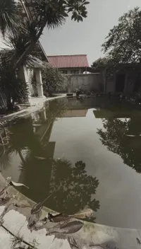 9 Potret Rumah Chua Kotak yang Lagi Proses Renovasi, Dulu Sempat Gak Dihuni 3 Tahun