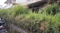 Potret Rumah Cut Keke yang Ditinggalkan Terbengkalai Bertahun-Tahun, Ditumbuhi Banyak Tanaman Jadi Terkesan Angker