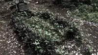 Potret Terbaru Makam Mendiang Taufik Savalas Sejak 15 Tahun Kepergiaannya, Tak Terurus dan Dipenuhi Rumput Liar
