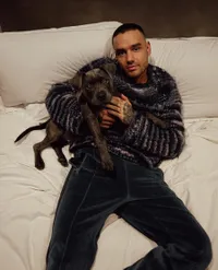 Profil Liam Payne, eks One Direction yang Meninggal Karena Jatuh dari Balkon Hotel di Argentina