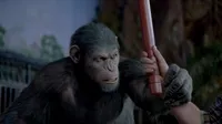 Planet of Apes