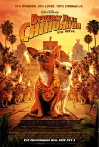 Poster Film 2008