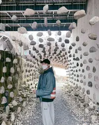 Sering Jalan-Jalan Nikmati Alam dan Museum, Berikut Potret RM BTS yang Bikin Kita Ngerasa Lagi Healing 
