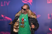 Snoop Dogg Sempat Boikot Grammy Awards, Beginilah Kekalahan Musisi Terkenal di Ajang Penghargaan Grammy Awards! 