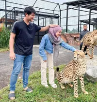 8 Potret Terbaru Rizky Billar dan Lesti yang Kian Harmonis, Kompak Pegang Macan Tutul Meski Ekspresi Takut - Bikin Netizen Bahagia