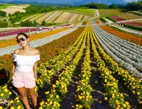 Summer Trip Shanty Paredes, Nikmati Indahnya Kebun Bunga Jepang