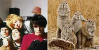 Tupai-Tupai Yang Terobsesi RADIOHEAD