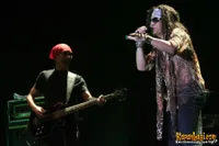 Foto All Indonesian Rock Stars