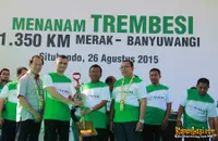 Foto Andra and The BackBone