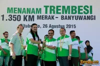 Foto Andra and The BackBone