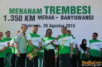 Foto Andra and The BackBone