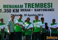 Foto Andra and The BackBone