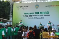 Foto Andra and The BackBone