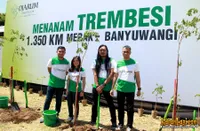 Foto Andra and The BackBone