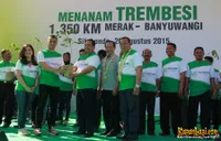 Foto Andra and The BackBone