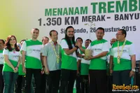 Foto Andra and The BackBone