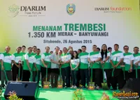 Foto Andra and The BackBone