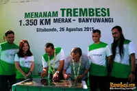 Foto Andra and The BackBone