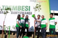 Foto Andra and The BackBone