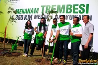 Foto Andra and The BackBone