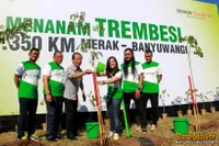 Foto Andra and The BackBone