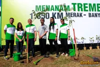 Foto Andra and The BackBone