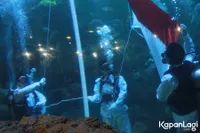 Foto Aurelie Moeremans