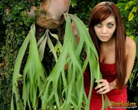 Foto Baby Margaretha