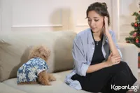 Foto Carissa Perusset