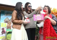 Foto Dominique Nadine