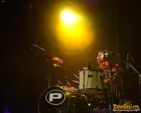 Foto Elephant Kind Band