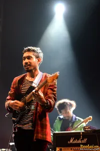 Foto Elephant Kind Band