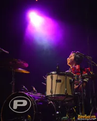 Foto Elephant Kind Band