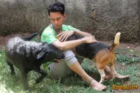 Foto Fandy Christian