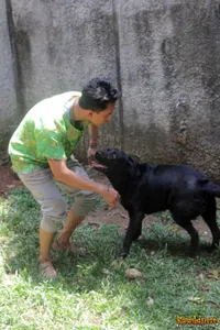 Foto Fandy Christian