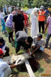 Foto Indah Dewi Pertiwi