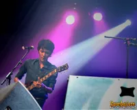 Foto Monkey to Millionaire