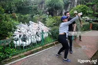 Foto Nadine Waworuntu