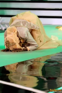 Foto Obabiyi Aishah Ajibola