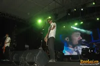 Foto Snickers and the Chicken Fighter