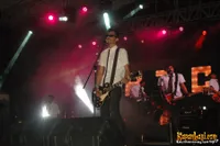 Foto Snickers and the Chicken Fighter