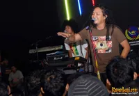 Foto Steven and The Coconut Treez