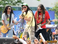 Foto Steven and The Coconut Treez