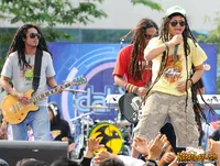 Foto Steven and The Coconut Treez