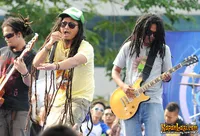 Foto Steven and The Coconut Treez