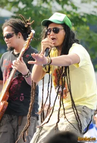 Foto Steven and The Coconut Treez